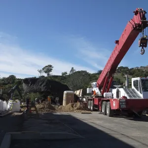 Installation of Island Oaks, flanking the entrance to the new Island Section at the Pritzlaff Conservation Center