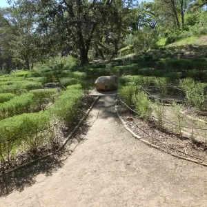 Centennial Maze