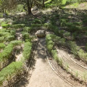 Centennial Maze