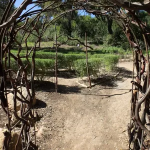 Entry Arches, Centennial Maze
