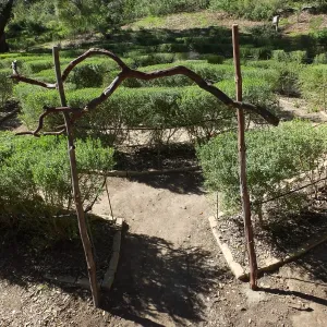 Entry Arch, Centennial Maze