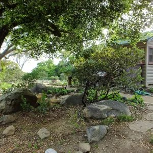 Home Demonstration Garden Renovation, view 7, east of Cottage