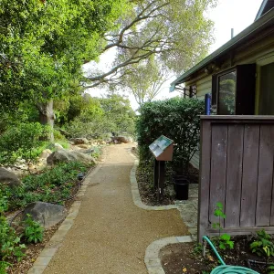 Home Demonstration Garden Renovation, view 6, looking south along path east of Cottage
