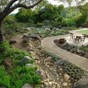 Home Demonstration Garden Renovation, view 34, southeast portion of display from east of Cottage
