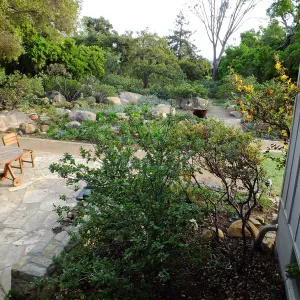 Home Demonstration Garden Renovation, view 18, looking south from south entrance of Cottage