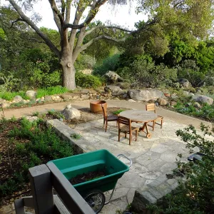 Home Demonstration Garden Renovation, view 19, looking southeast from south entrance of Cottage
