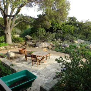 Home Demonstration Garden Renovation, view 20, looking southeast from south entrance of Cottage