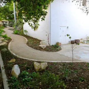 Home Demonstration Garden Renovation, view 31, looking towards southwest corner of Herbarium