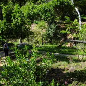 Wooded Dell, view from picnic area