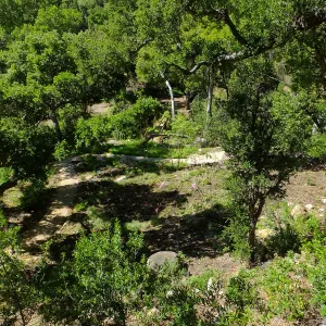 Wooded Dell, view from picnic area