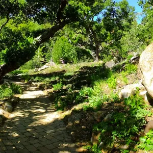 Wooded Dell, panoramic view along Campbell Trail