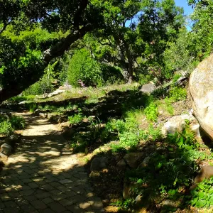 Wooded Dell, panoramic view along Campbell Trail