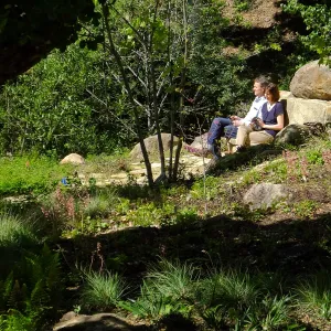 Wooded Dell, visitors on Campbell Bench