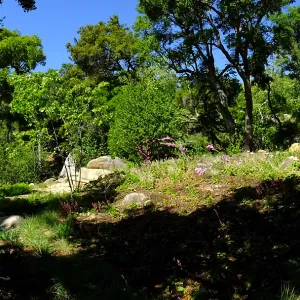 Wooded Dell panorama