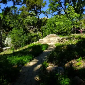 Wooded Dell panorama with Campbell Bridge and Campbell Bench