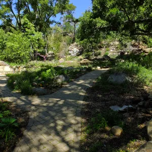 Wooded Dell