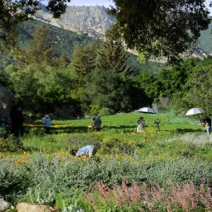 Artists painting in the Garden
