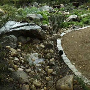 Rainfall collecting in bioswale, Home Demonstration Garden