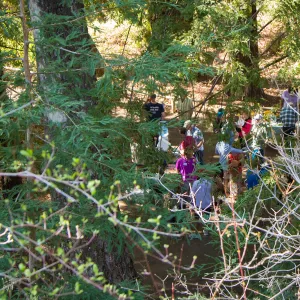 2016 Santa Barbara Beer Garden Event