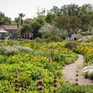 2016 Santa Barbara Beer Garden Event