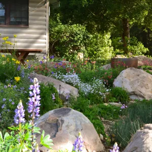 Swale in Home Demonstration Garden