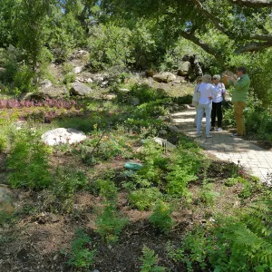 Garden Club of Santa Barbara Centennial Birthday Meeting, Club members visiting the Wooded Dell