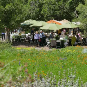 Garden Club of Santa Barbara Centennial Birthday Meeting