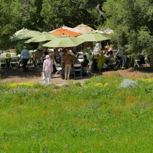 Garden Club of Santa Barbara Centennial Birthday Meeting