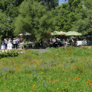 Garden Club of Santa Barbara Centennial Birthday Meeting