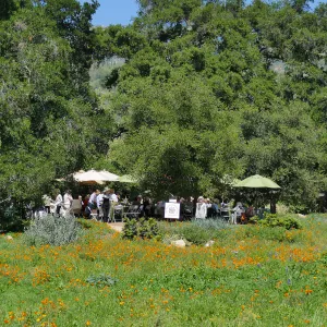Garden Club of Santa Barbara Centennial Birthday Meeting