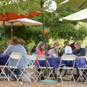 Members Picnic 2016, Day 1