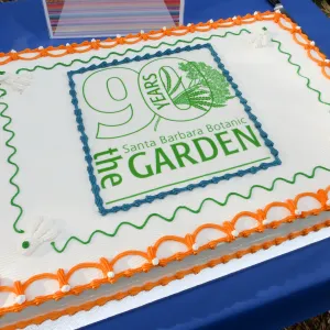 Members Picnic 2016, Day 1, cake