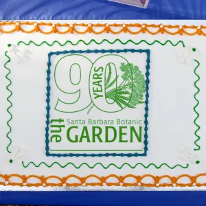Members Picnic 2016, Day 1, cake