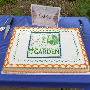 Members Picnic 2016, Day 1, cake
