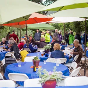 Members Picnic 2016, Day 2