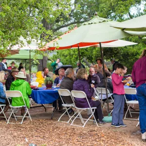 Members Picnic 2016, Day 2