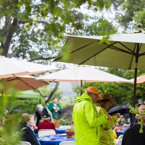 Members Picnic 2016, Day 2