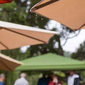 Members Picnic 2016, Day 2