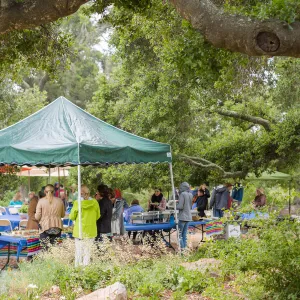 Members Picnic 2016, Day 2