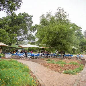 Members Picnic 2016, Day 2