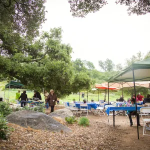 Members Picnic 2016, Day 2