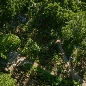 Aerial view of Wooded Dell