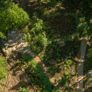 Aerial view of Wooded Dell