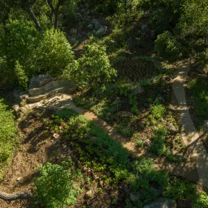 Aerial view of Wooded Dell