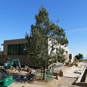 Pritzlaff Conservation Center Construction, Exterior looking southeast