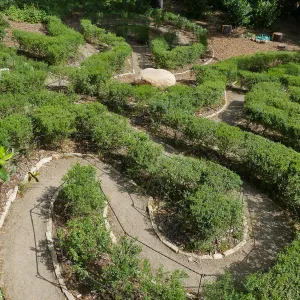 Centennial Maze