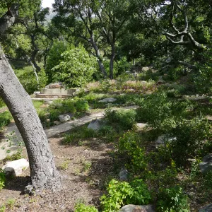 Wooded Dell