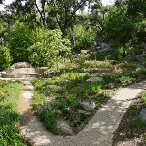 Wooded Dell