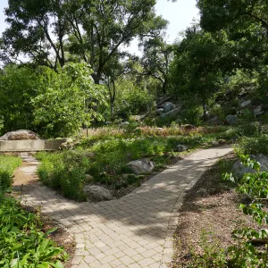 Wooded Dell