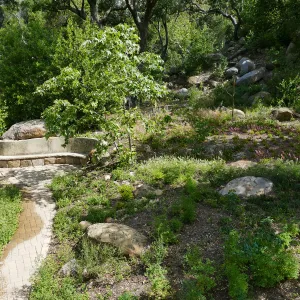 Wooded Dell, Campbell Bench